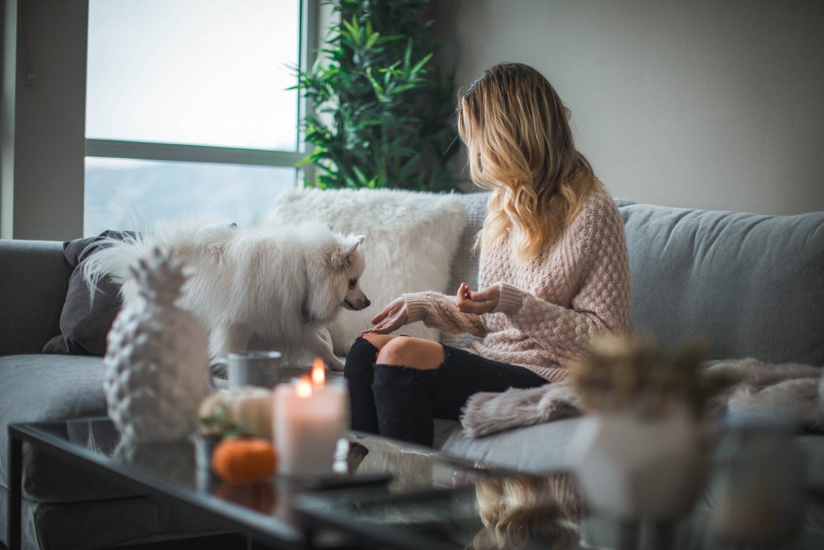 Women Feeding Dog on Sofa